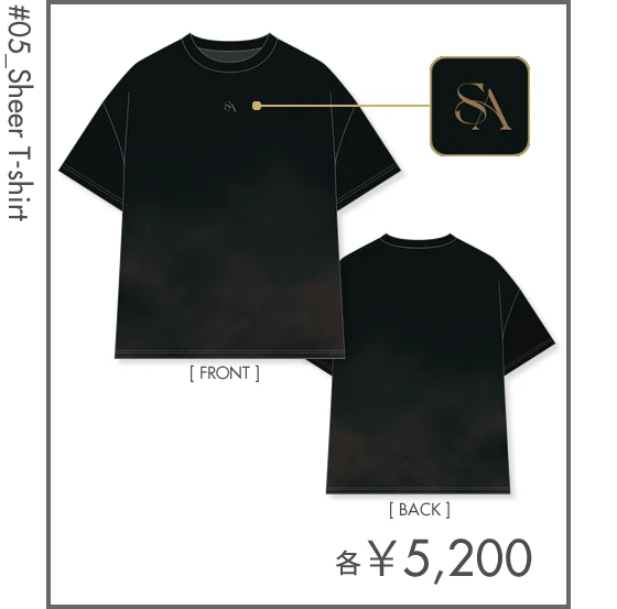 シアーTシャツ